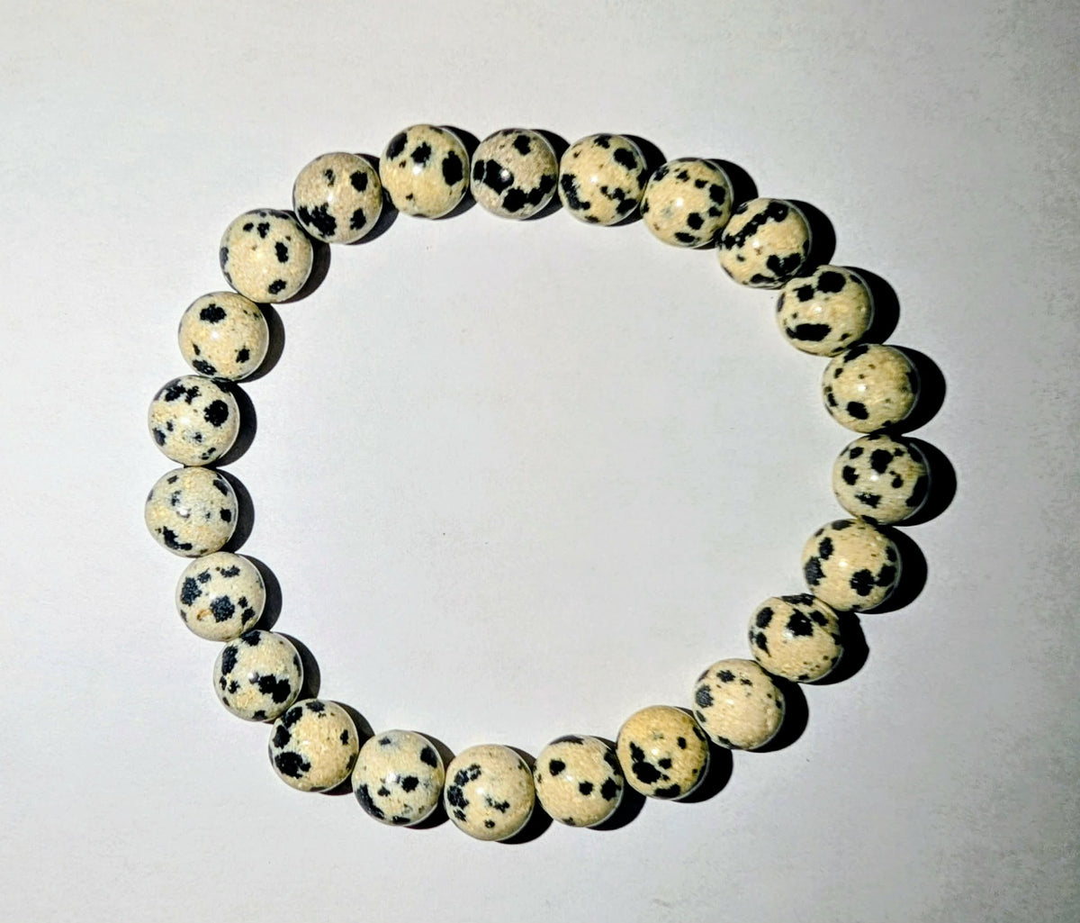 Dalmatian Jasper genuine gemstone beaded bracelet featuring polished 8mm cream-colored beads with distinctive dark spots.