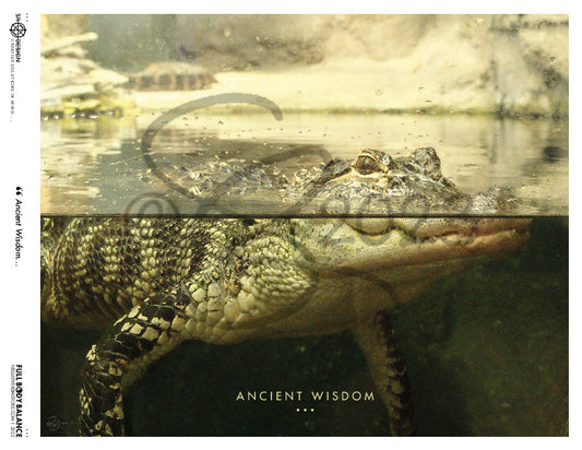 SR Designs  |  Ancient Wisdom Photo by Steve Roberts