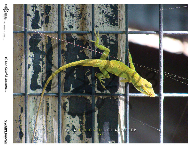 SR Designs  |  Be A Colorful Character Photo by Steve Roberts