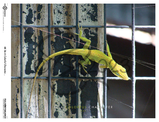 SR Designs  |  Be A Colorful Character Photo by Steve Roberts