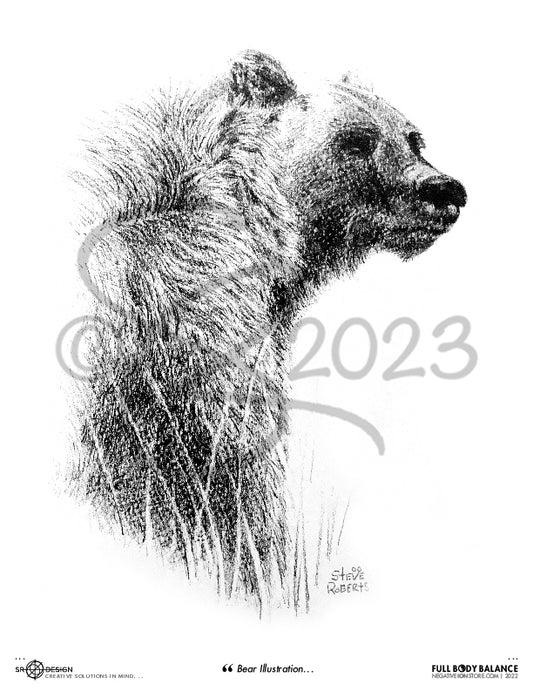SR Designs  |  Bear Illustration