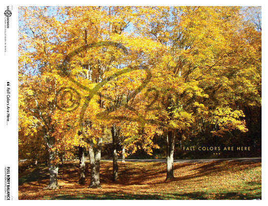 SR Designs  |  Fall Colors Are Here Photo by Steve Roberts