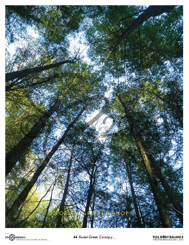 SR Designs | Forest Green Canopy Photo by Steve Roberts