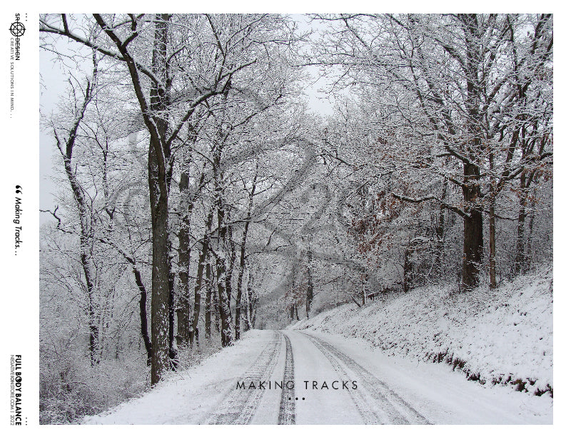 SR Designs  |  Making Tracks Photo by Steve Roberts