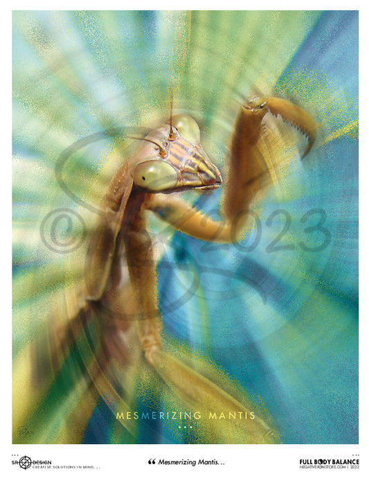 SR Designs  |  Mesmerizing Mantis Design by Steve Roberts