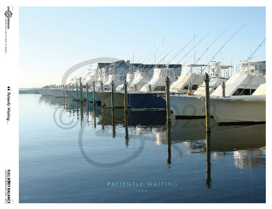 SR Designs  |  Patiently Waiting Photo by Steve Roberts