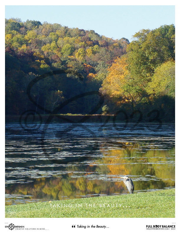 SR Designs  |  Taking In The Beauty Photo by Steve Roberts