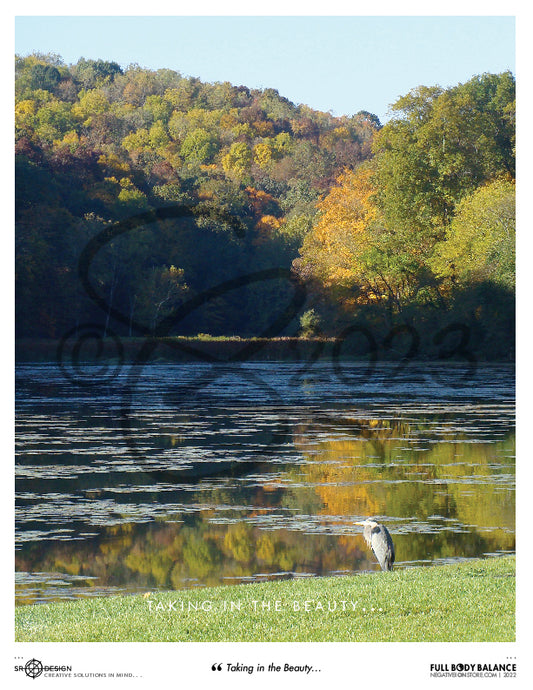 SR Designs  |  Taking In The Beauty Photo by Steve Roberts